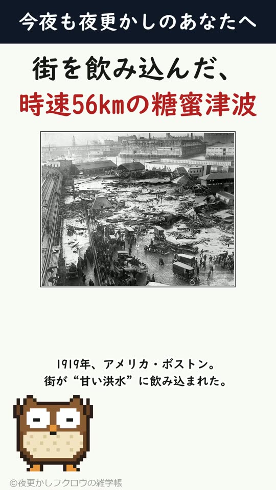 街を飲み込んだ、時速56kmの糖蜜津波
